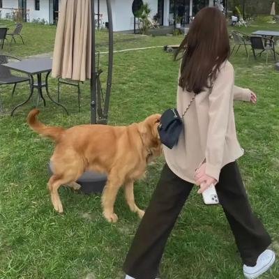 寻找咕噜